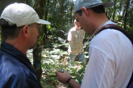 Treinamento no Parque