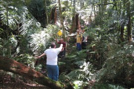 Treinamento no Parque